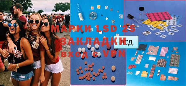 ГАЛЛЮЦИНОГЕННЫЕ ГРИБЫ Абаза
